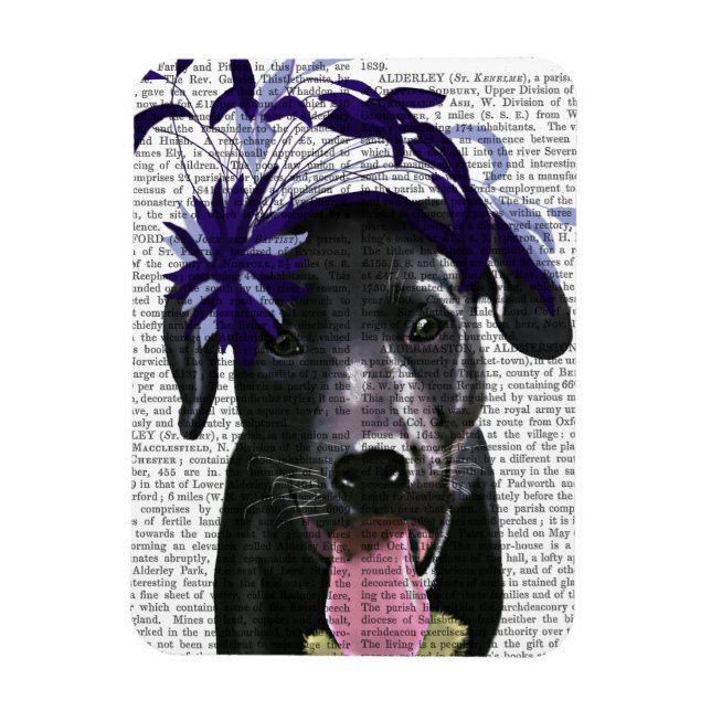 Black Labrador With Blue Fascinator Magnet (Vertical)
