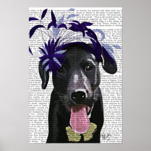 Black Labrador With Blue Fascinator Poster