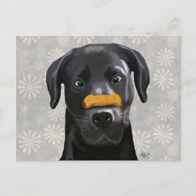 Black Labrador With Bone on Nose 2 Postcard (Front)