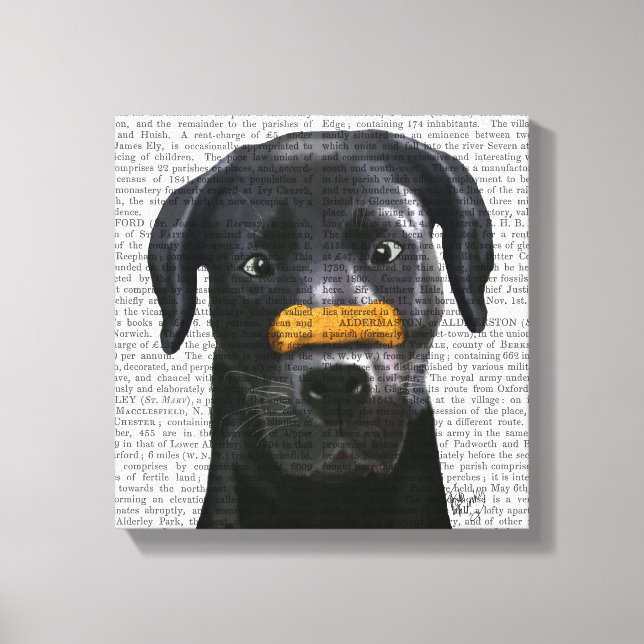 Black Labrador With Bone on Nose Canvas Print (Front)