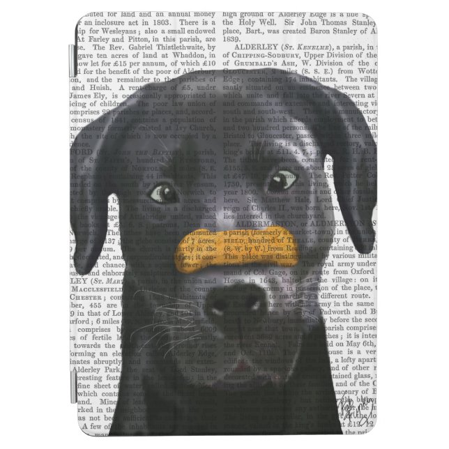Black Labrador With Bone on Nose iPad Air Cover (Front)