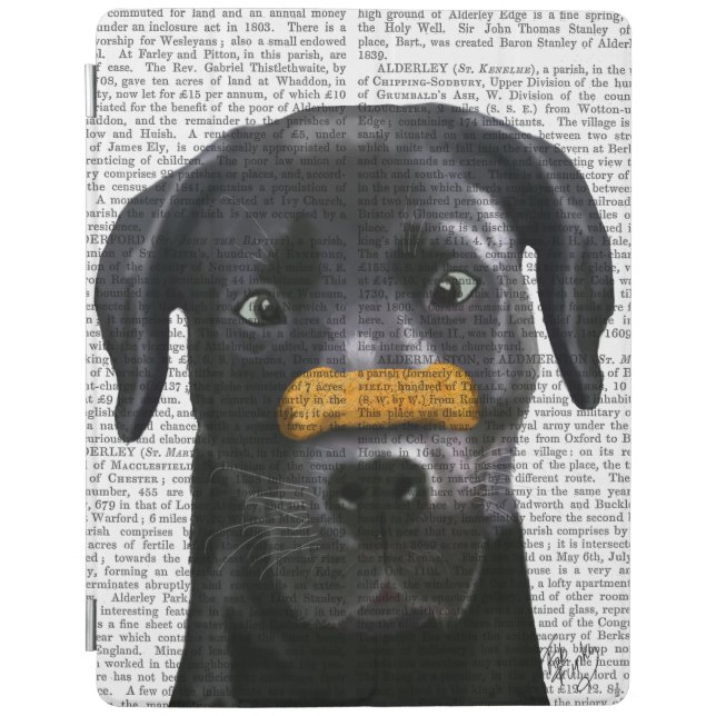 Black Labrador With Bone on Nose iPad Air Cover (Front)