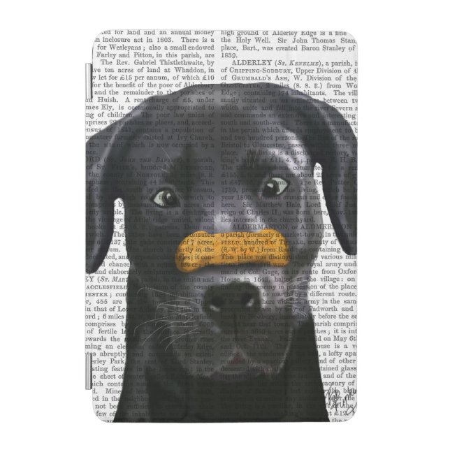 Black Labrador With Bone on Nose iPad Mini Cover (Front)