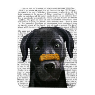 Black Labrador With Bone on Nose Magnet