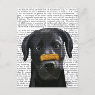 Black Labrador With Bone on Nose Postcard