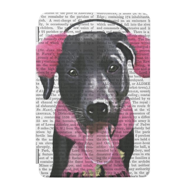 Black Labrador With Ear Muffs iPad Mini Cover (Front)