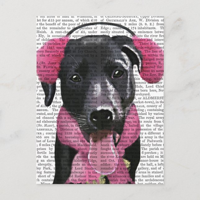 Black Labrador With Ear Muffs Postcard (Front)