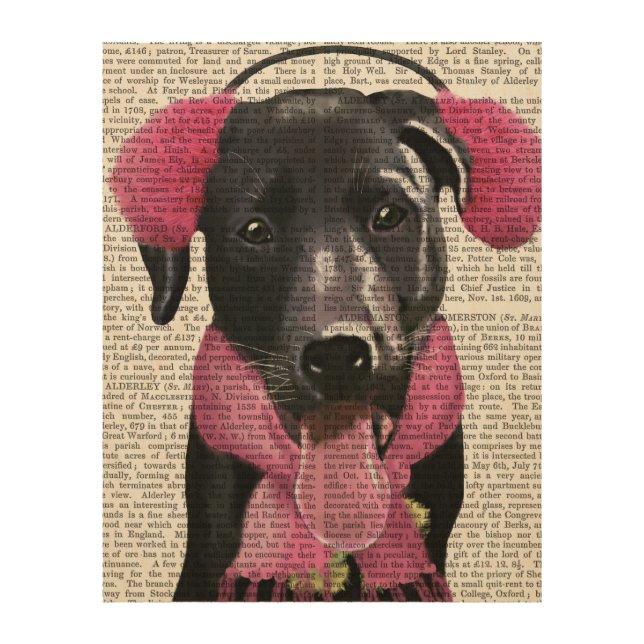 Black Labrador With Ear Muffs Wood Wall Art (Front)