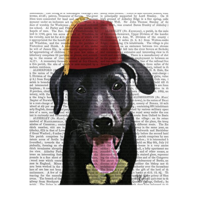 Black Labrador With Fez Acrylic Print (Front)
