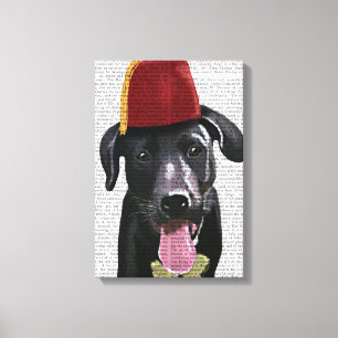 Black Labrador With Fez Canvas Print