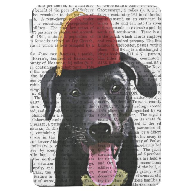 Black Labrador With Fez iPad Air Cover (Front)