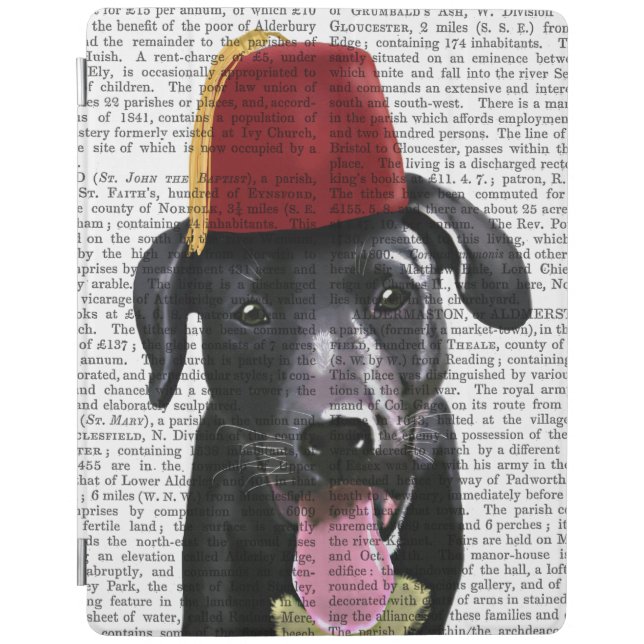 Black Labrador With Fez iPad Air Cover (Front)