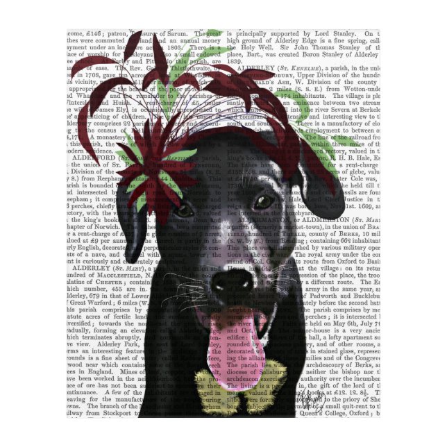 Black Labrador With Green Fascinator Acrylic Print (Front)