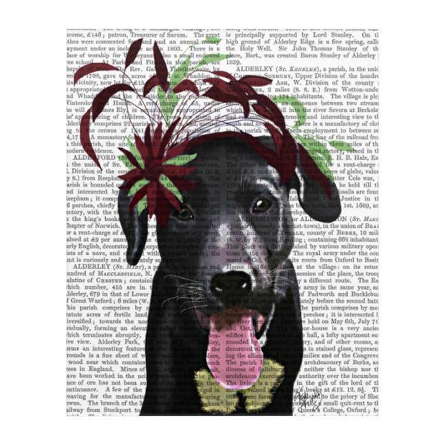 Black Labrador With Green Fascinator Acrylic Print (Front)