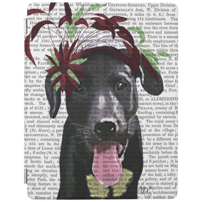 Black Labrador With Green Fascinator iPad Air Cover (Front)