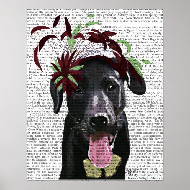 Black Labrador With Green Fascinator Poster (Front)