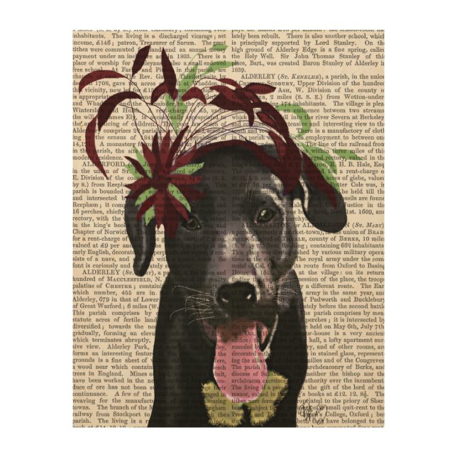 Black Labrador With Green Fascinator Wood Wall Art (Front)