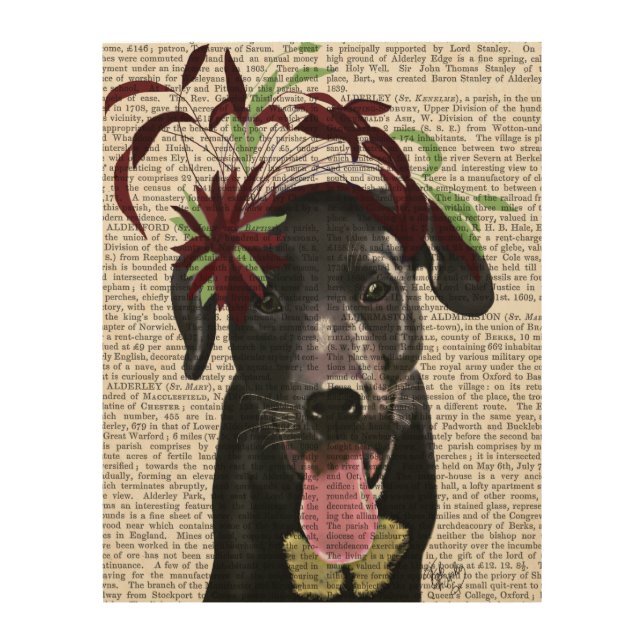 Black Labrador With Green Fascinator Wood Wall Decor (Front)