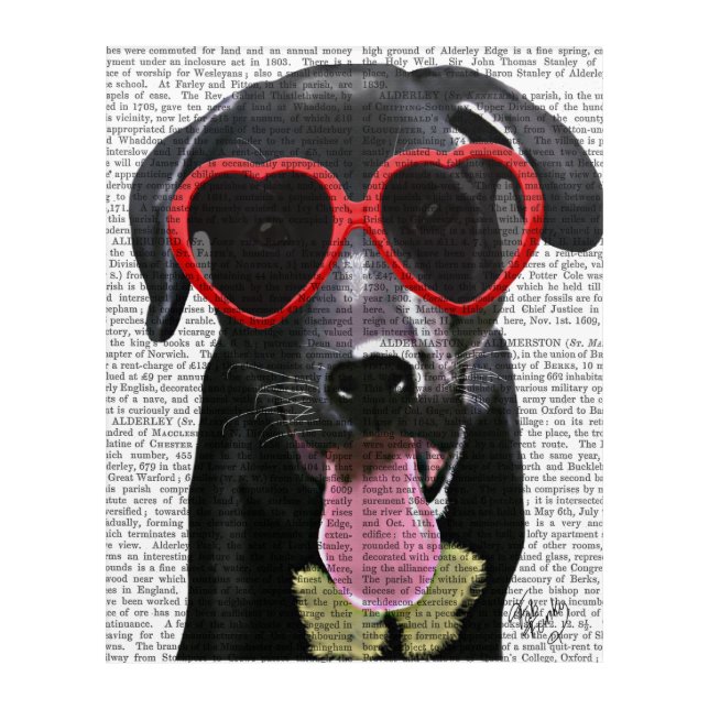 Black Labrador With Heart Sunglasses Acrylic Print (Front)
