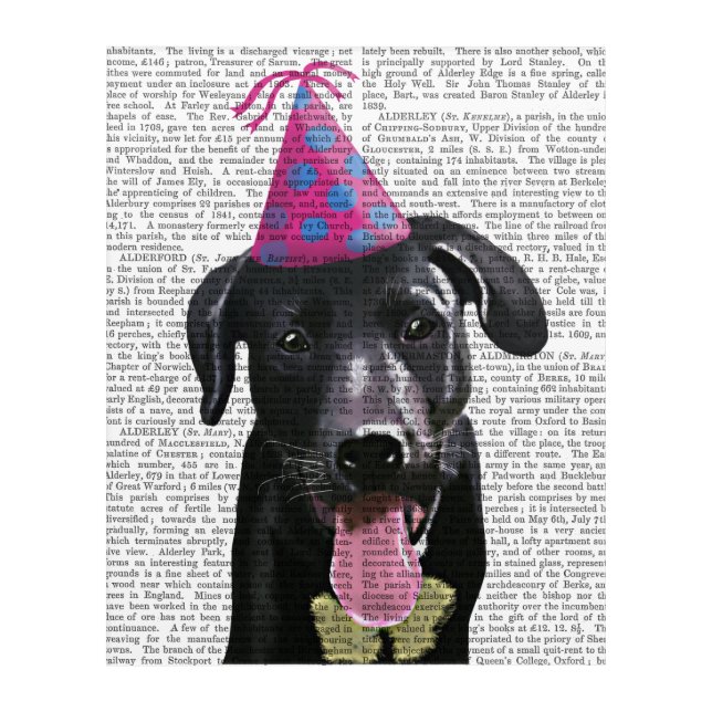 Black Labrador With Party Hat Acrylic Print (Front)