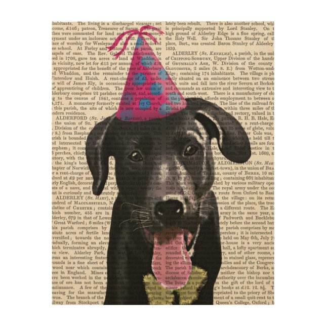 Black Labrador With Party Hat Wood Wall Art (Front)