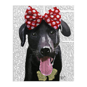 Black Labrador With Red Bow On Head Acrylic Print