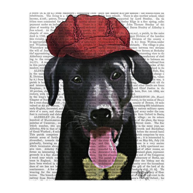 Black Labrador With Red Cap Acrylic Print (Front)