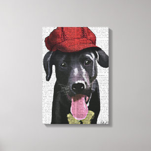 Black Labrador With Red Cap Canvas Print