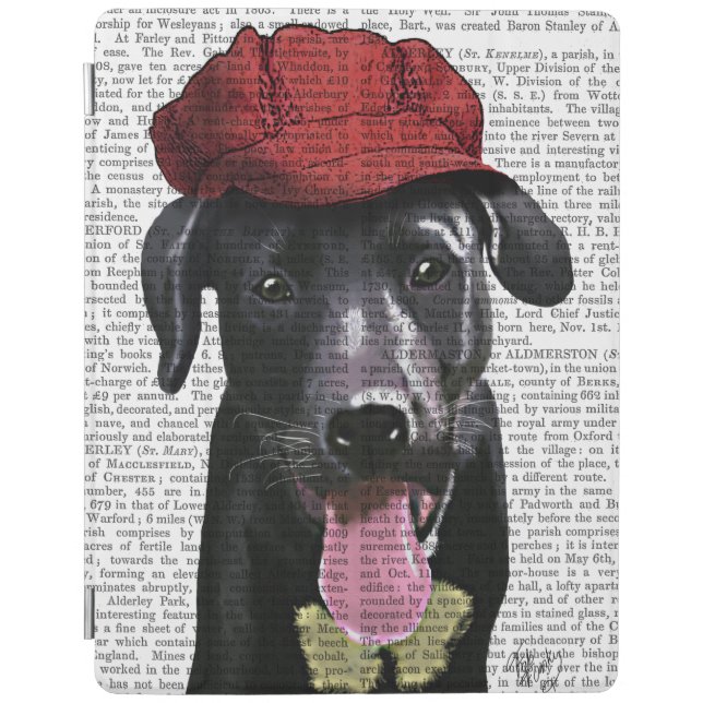 Black Labrador With Red Cap iPad Air Cover (Front)