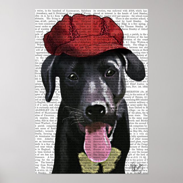 Black Labrador With Red Cap Poster (Front)