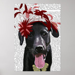 Black Labrador With Red Fascinator Poster