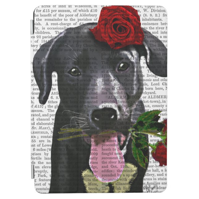 Black Labrador with Roses 2 iPad Air Cover (Front)