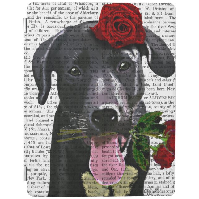 Black Labrador with Roses 2 iPad Air Cover (Front)