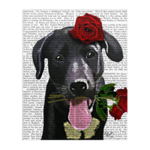 Black Labrador with Roses Acrylic Print