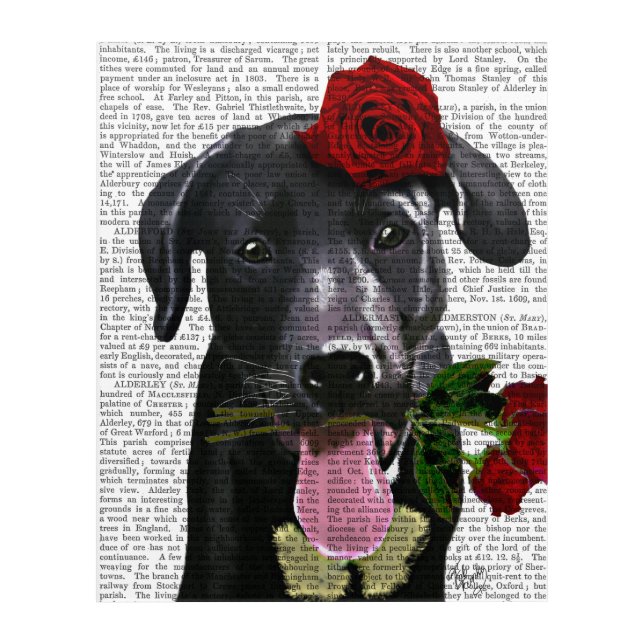 Black Labrador with Roses Acrylic Print (Front)