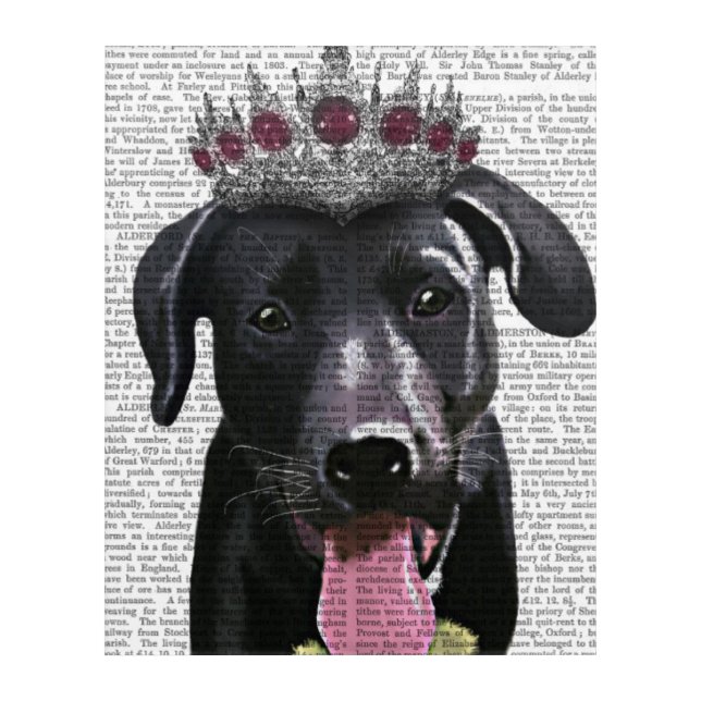 Black Labrador With Tiara Acrylic Print (Front)