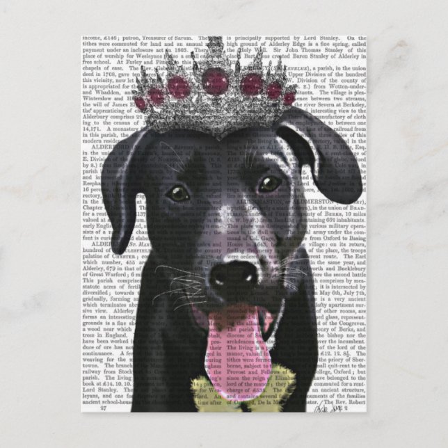 Black Labrador With Tiara Postcard (Front)