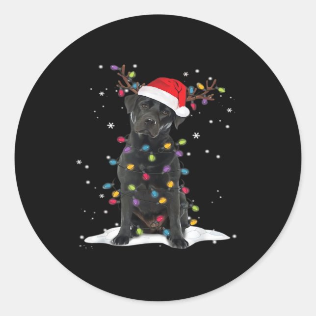 Black Labrador Xmas Dog Christmas Tree Light Class Classic Round Sticker (Front)