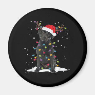 Black Labrador Xmas Dog Christmas Tree Light Class Magnet