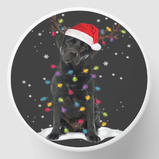 Black Labrador Xmas Dog Christmas Tree Light Class Mini Candle Favors