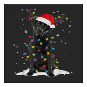 Black Labrador Xmas Dog Christmas Tree Light Class Poster