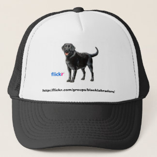 Black Labs Group Hat