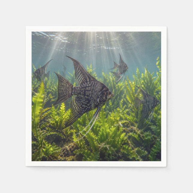 Black Lace Angelfish in Seaweed Napkins (Front)