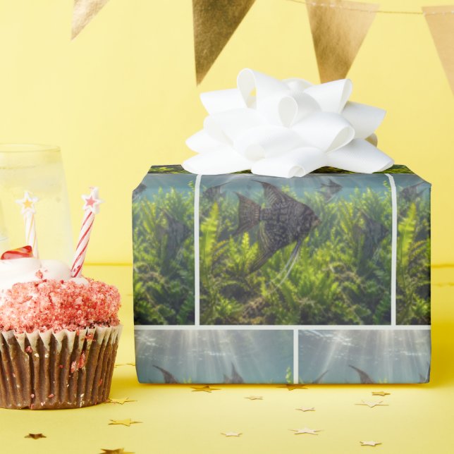 Black Lace Angelfish in Seaweed Wrapping Paper (Birthday Party)