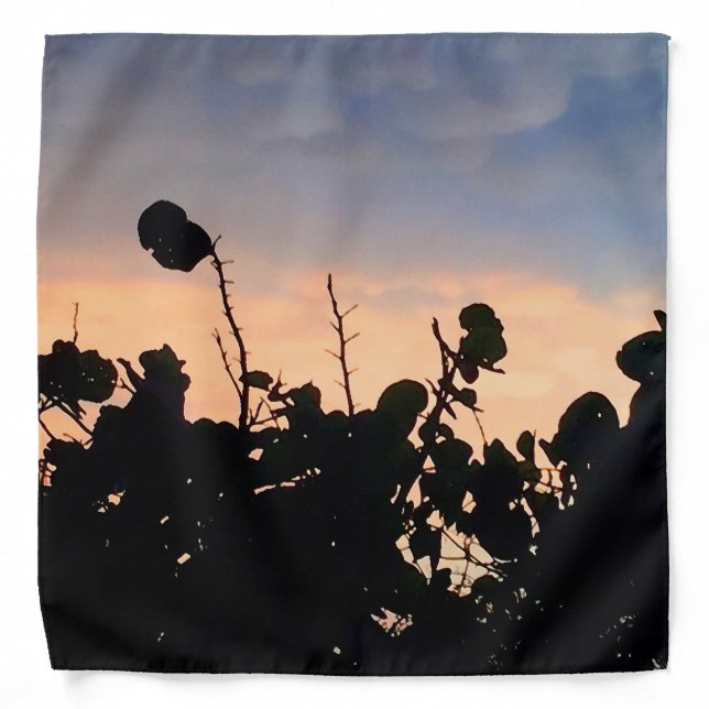 Black Lace Sunset Bandana (Front)