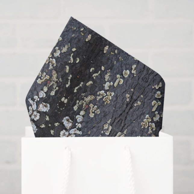 Black Lace Tree Bark Tissue Paper (Gift Bag)