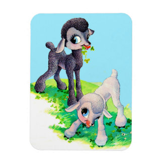 black lamb white lamb magnet