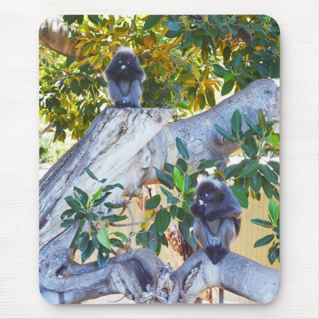 Black Langur Monkeys Eating, Mousepad (Front)