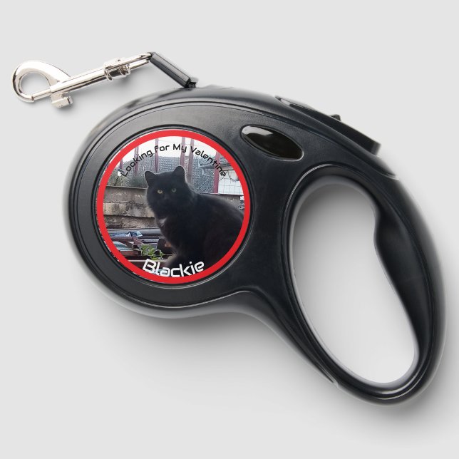 Black Leash Red Blue Border Custom Photo Cat  Name (Front)