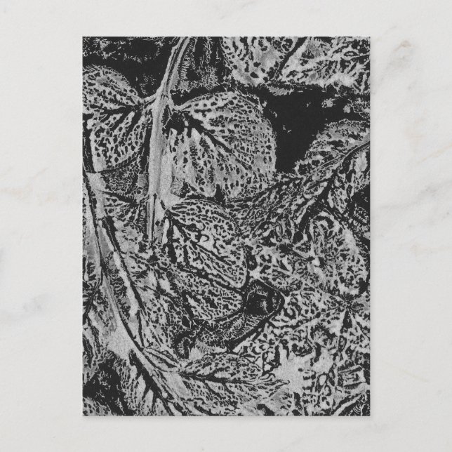Black leaves postcard (Front)